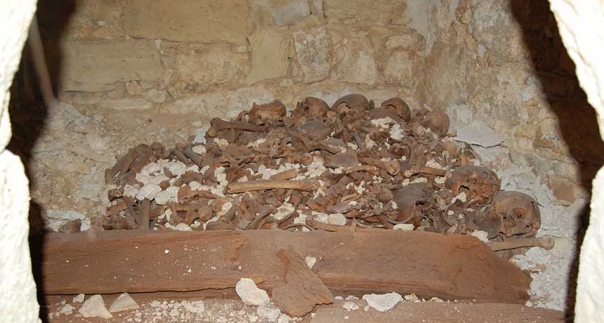 Monk remains