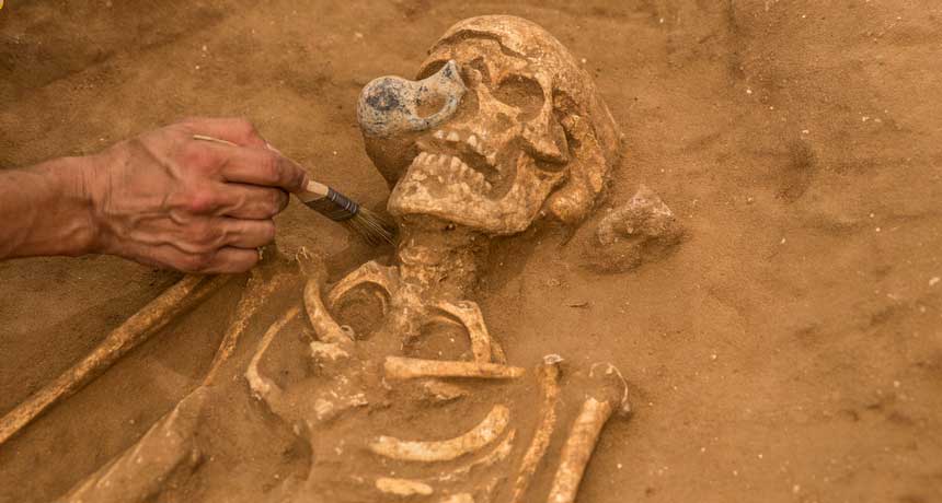 Philistine remains