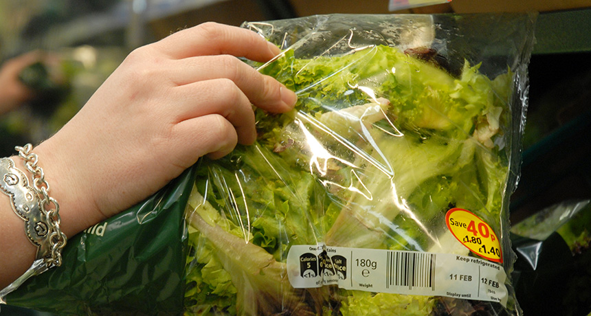 bag of salad greens