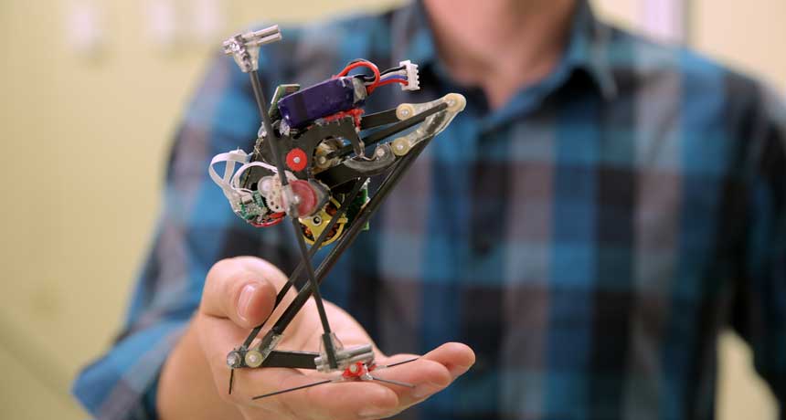 Jumping robot