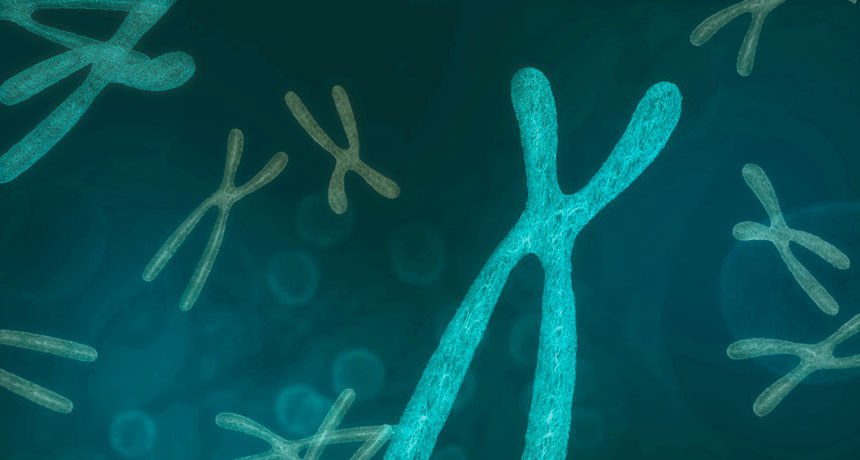 chromosome