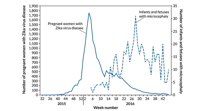 graph of zika infections and microcephaly cases