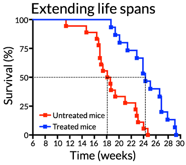 life span graph
