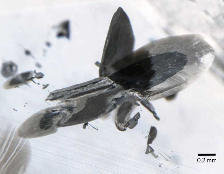 metallic inclusion
