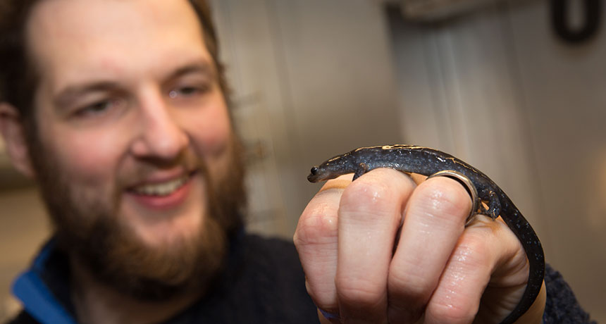 scientist holding a salamander