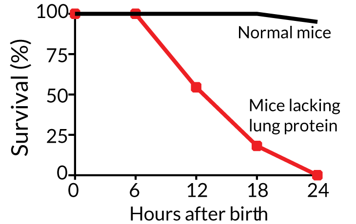 mice breath graph