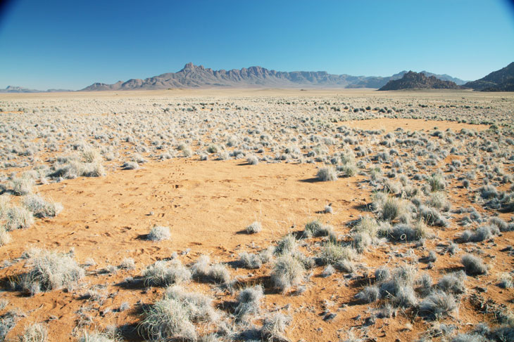 fairy circles