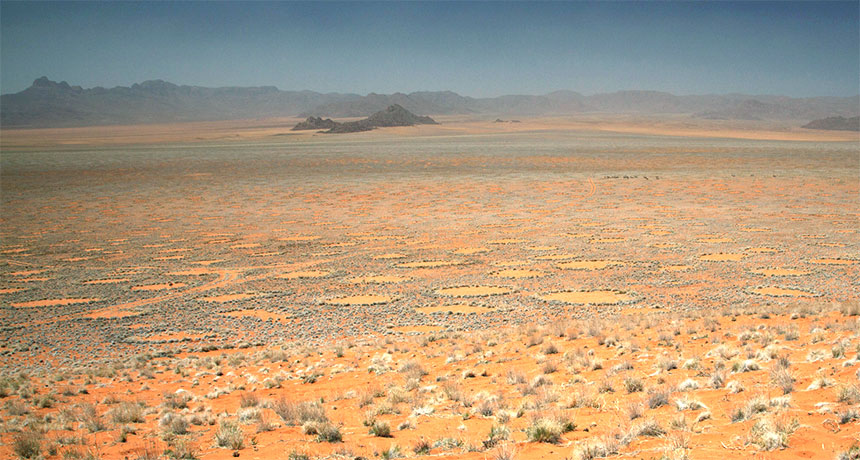 fairy circles