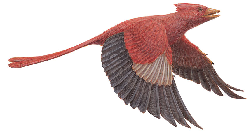 ancient bird