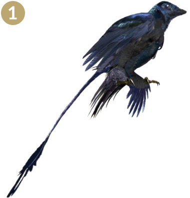MICRORAPTOR