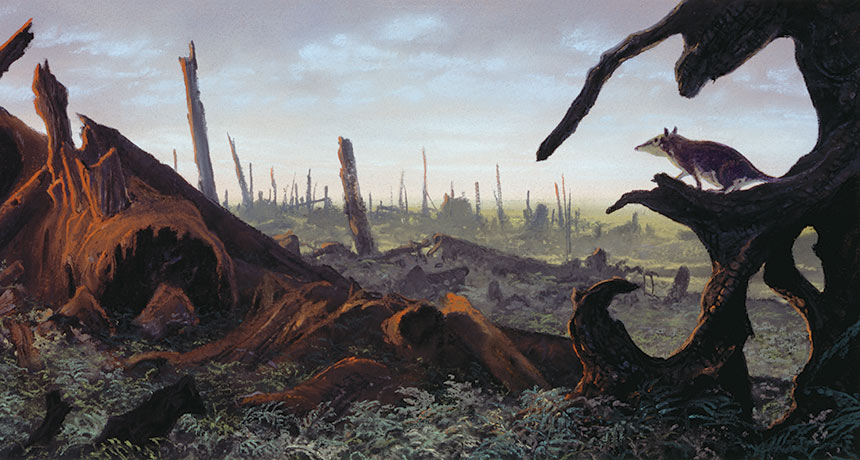 With Dinosaurs Out Of The Way Mammals Had A Chance To - 