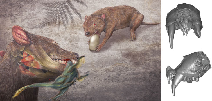 Didelphodon vorax