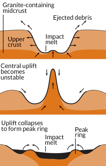 elevated ring illustration