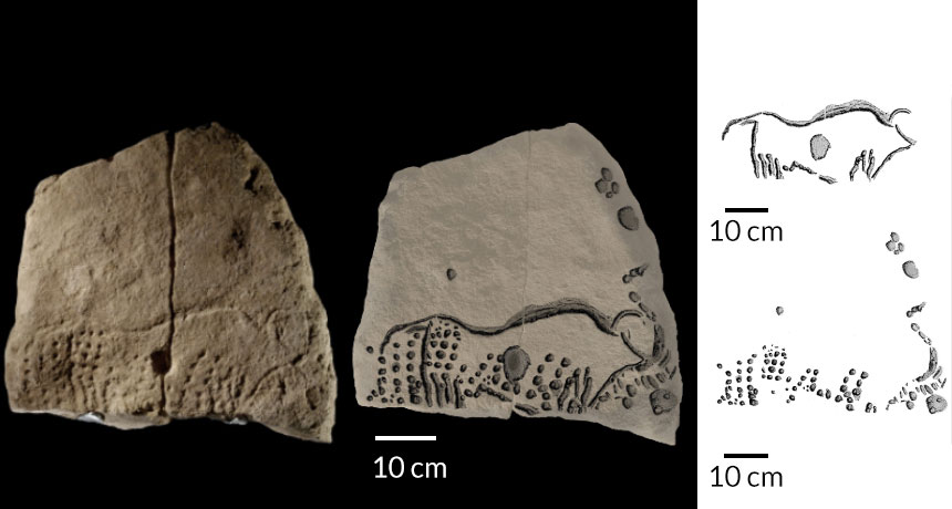 ancient wild cow stone engraving