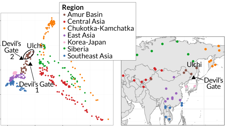 East Asia genome map