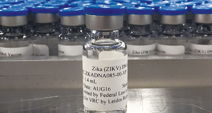 Zika DNA vaccine