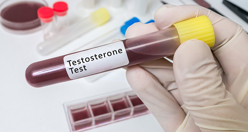 testosterone test-tube