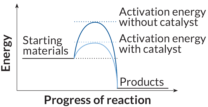 Catalyst activation energy graph