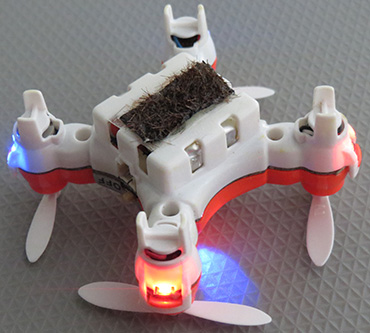 pollinator drone