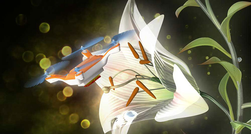 illustration of a pollinator drone in action