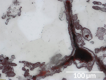 iron ore in microfossil