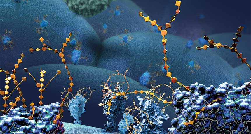 illustration of proteins on outside of cancer cell
