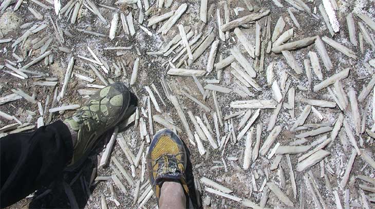 gypsum crystals