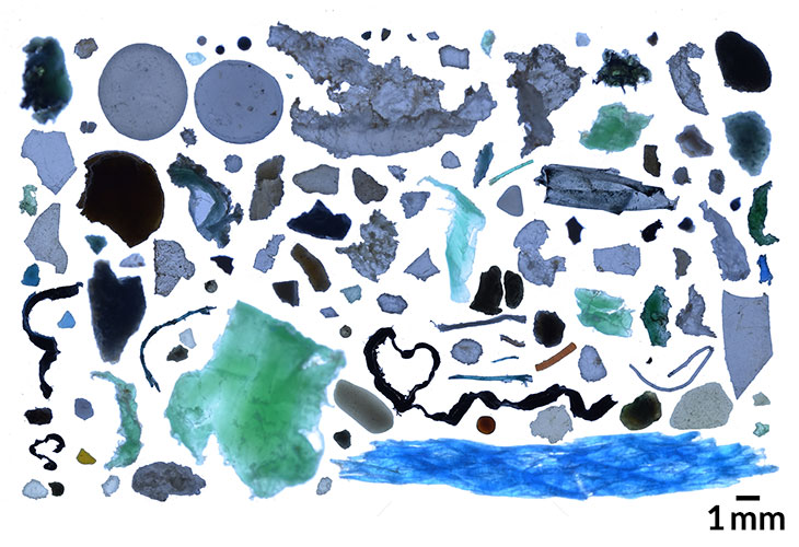 arctic trash