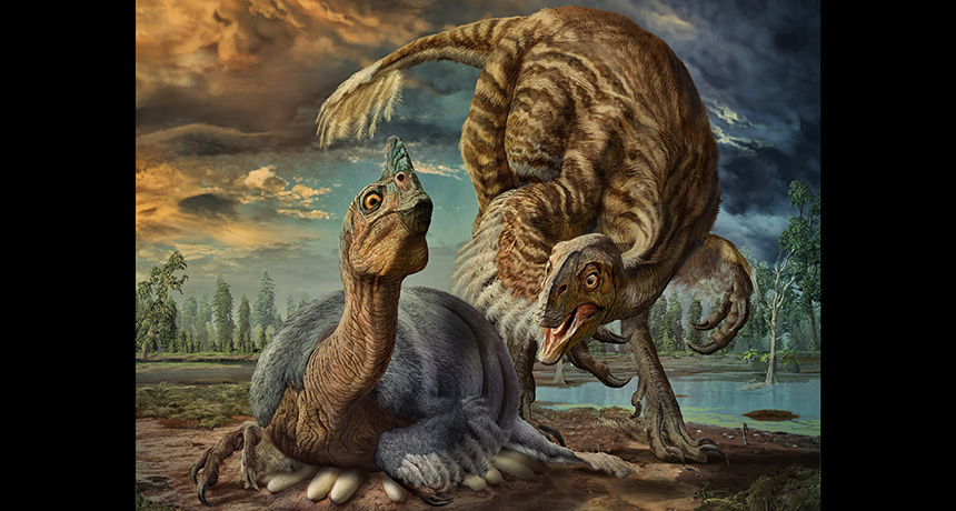 illustration of Beibeilong sinensis