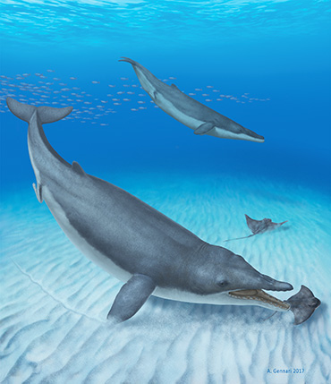 Mystacodon