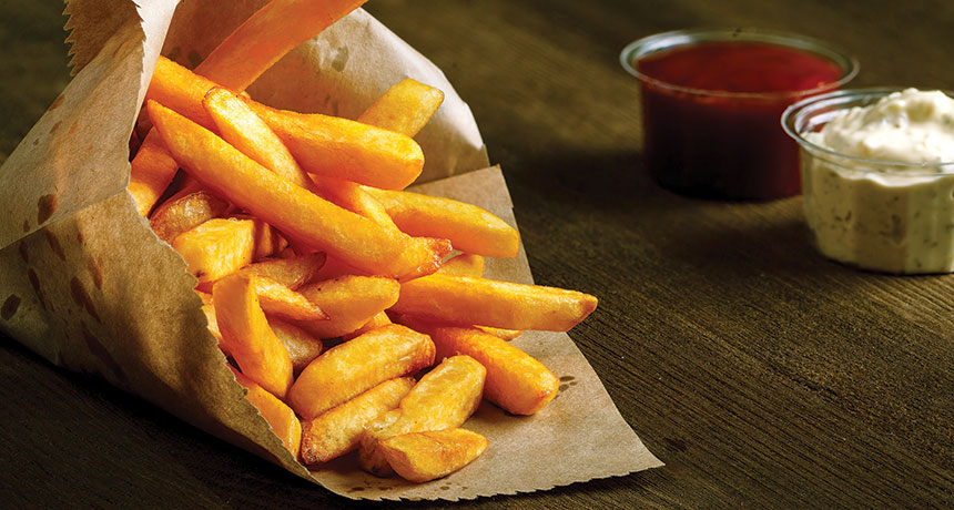 french fries