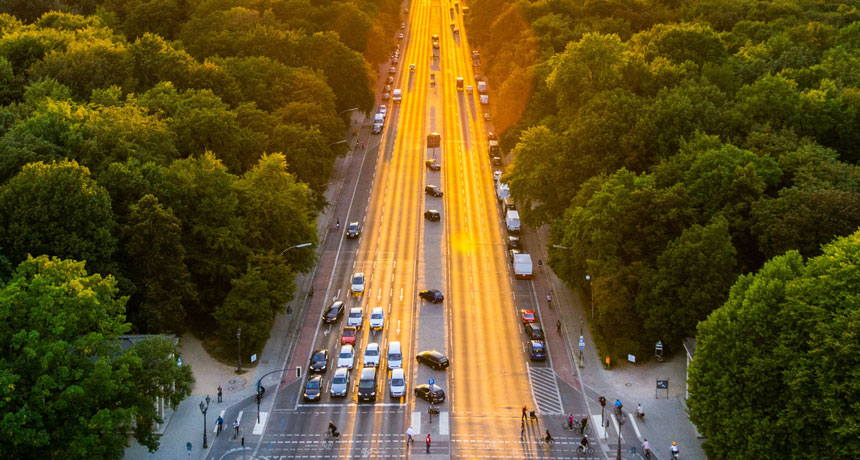 Trees in Berlin
