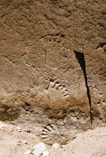 six toe carving
