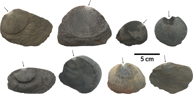 stone tools