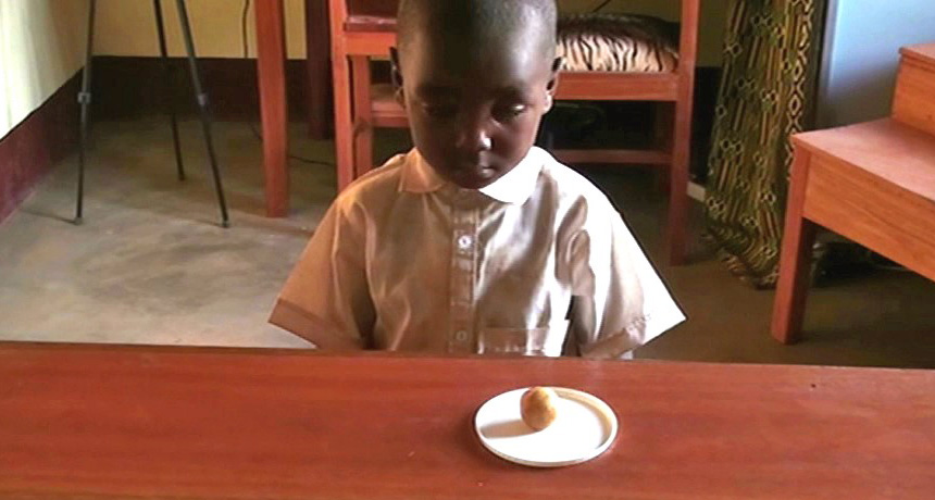 kid looking at marshmallow