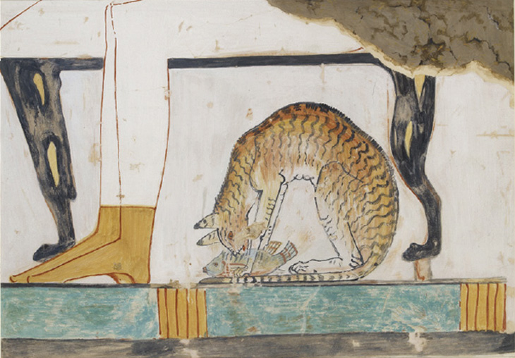 Egyptian cat