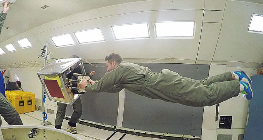 gecko-gripper robot