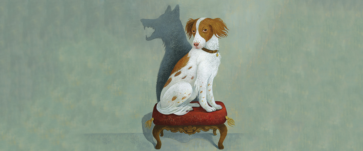 dog portrait