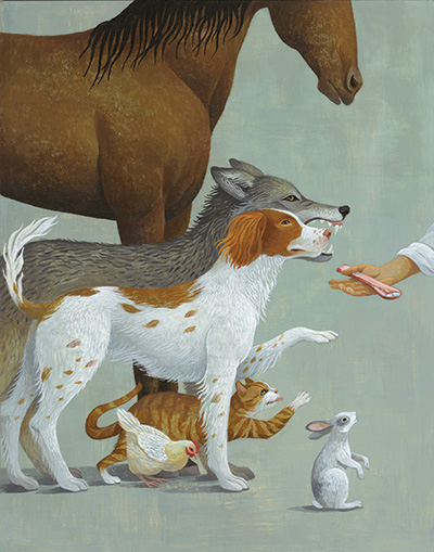 illustration of animals