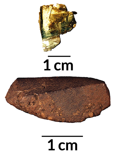 artist's palette