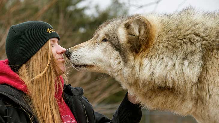 scientist with wolf