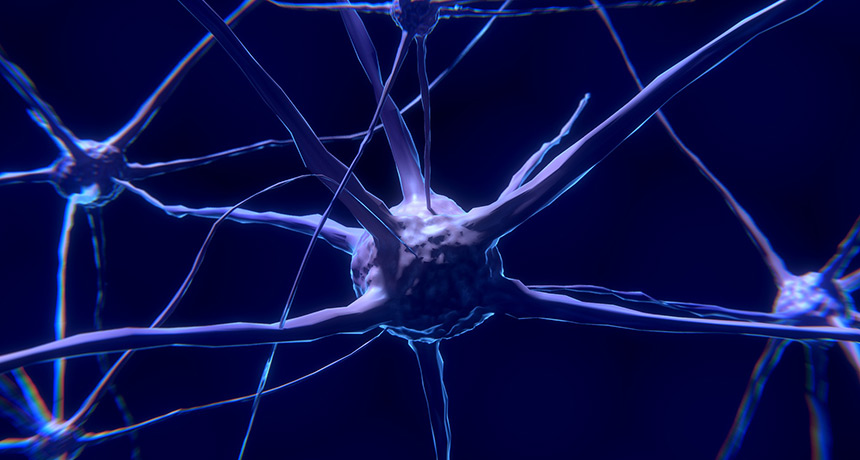 illustration of nerve cells