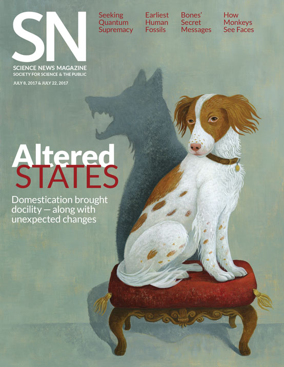 cover of July 8, 2017 issue