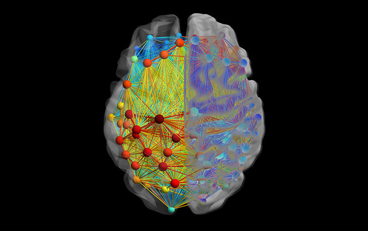 networked brain illustration