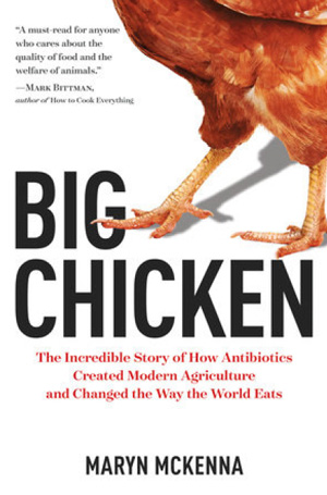 cover of "Big Chicken"