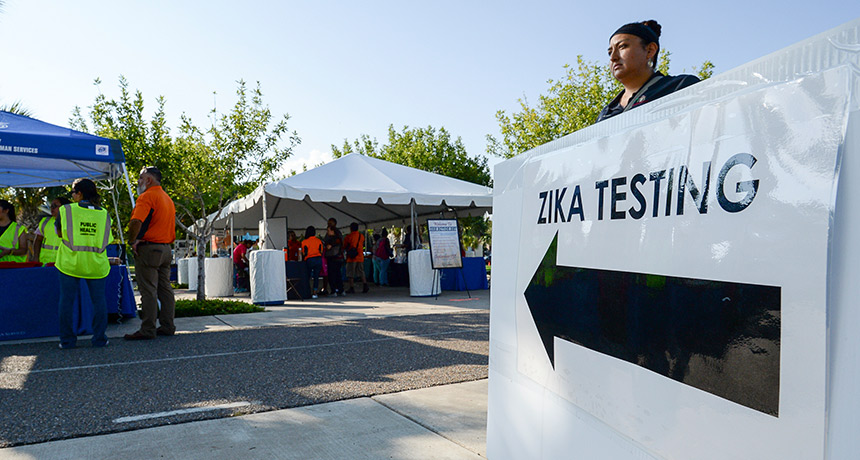 Zika testing line in Brownsville