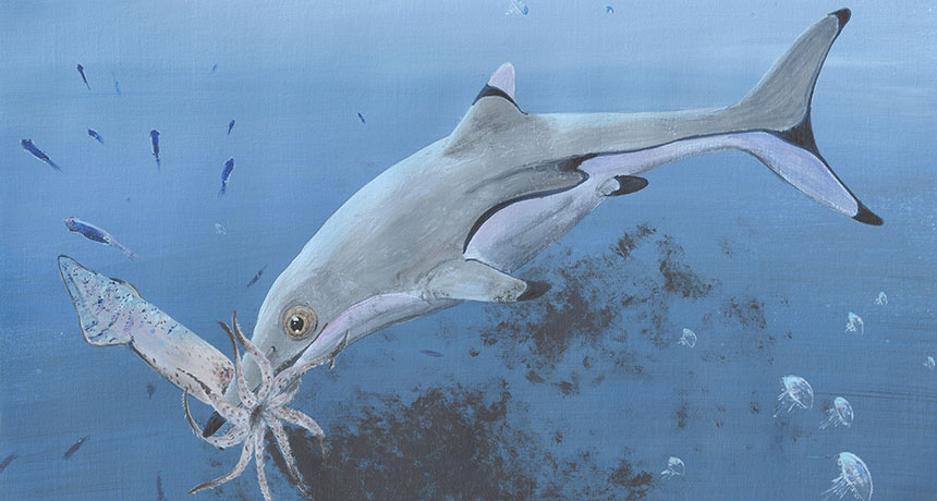 ichthyosaur illustration