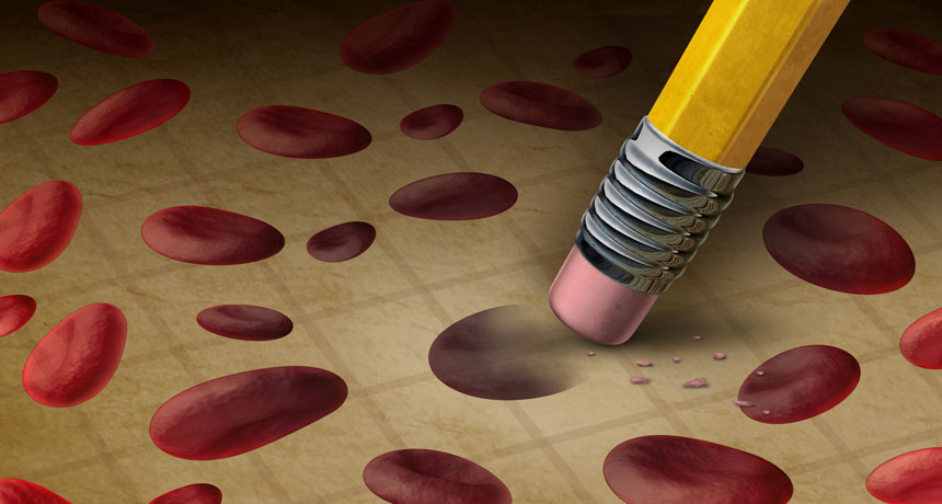 pencil erasing blood cells