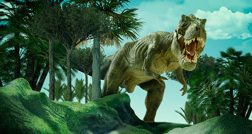 Tyrannosaurus rex