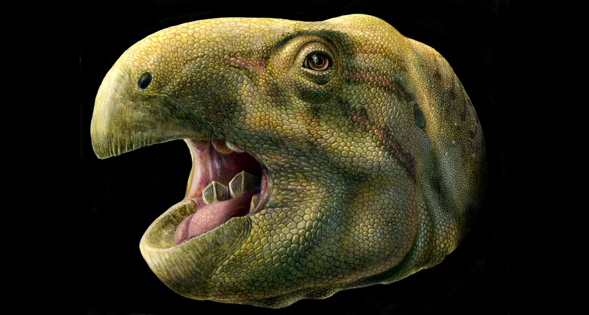 Matheronodon provincialis